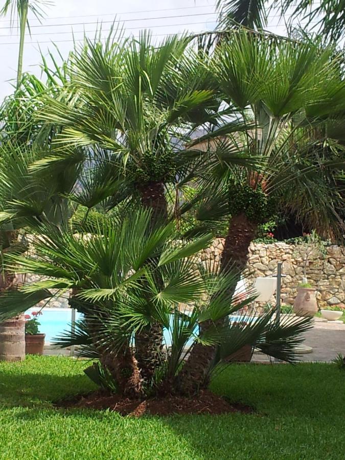 Villa Manzella Piscina Privata Cinisi Eksteriør bilde